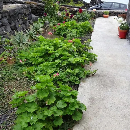 Vakantiehuis Adega Baia Do Canto Al 1398 *