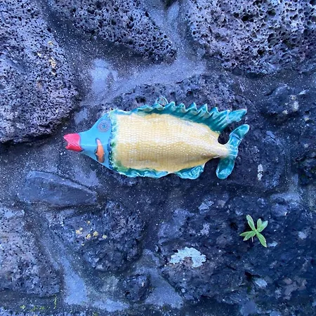 Adega Baia Do Canto Al 1398 *