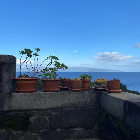 Adega Baia Do Canto Al 1398 Terra Alta