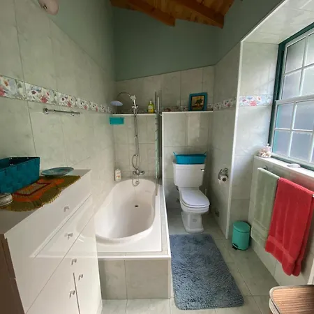 Adega Baia Do Canto Al 1398 *