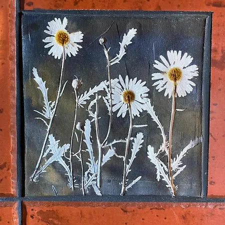 Adega Baia Do Canto Al 1398 Terra Alta