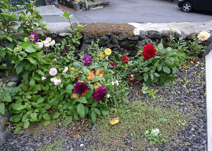 Adega Baia Do Canto Al 1398 Terra Alta