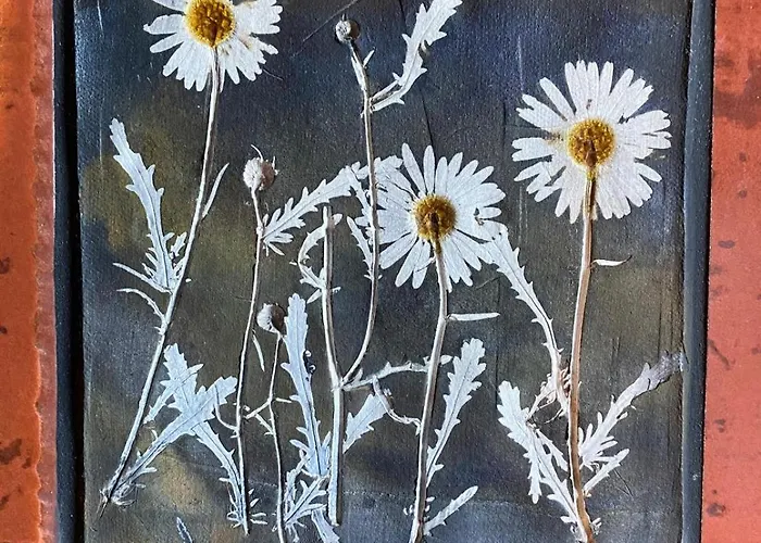 Adega Baia Do Canto Al 1398 Terra Alta